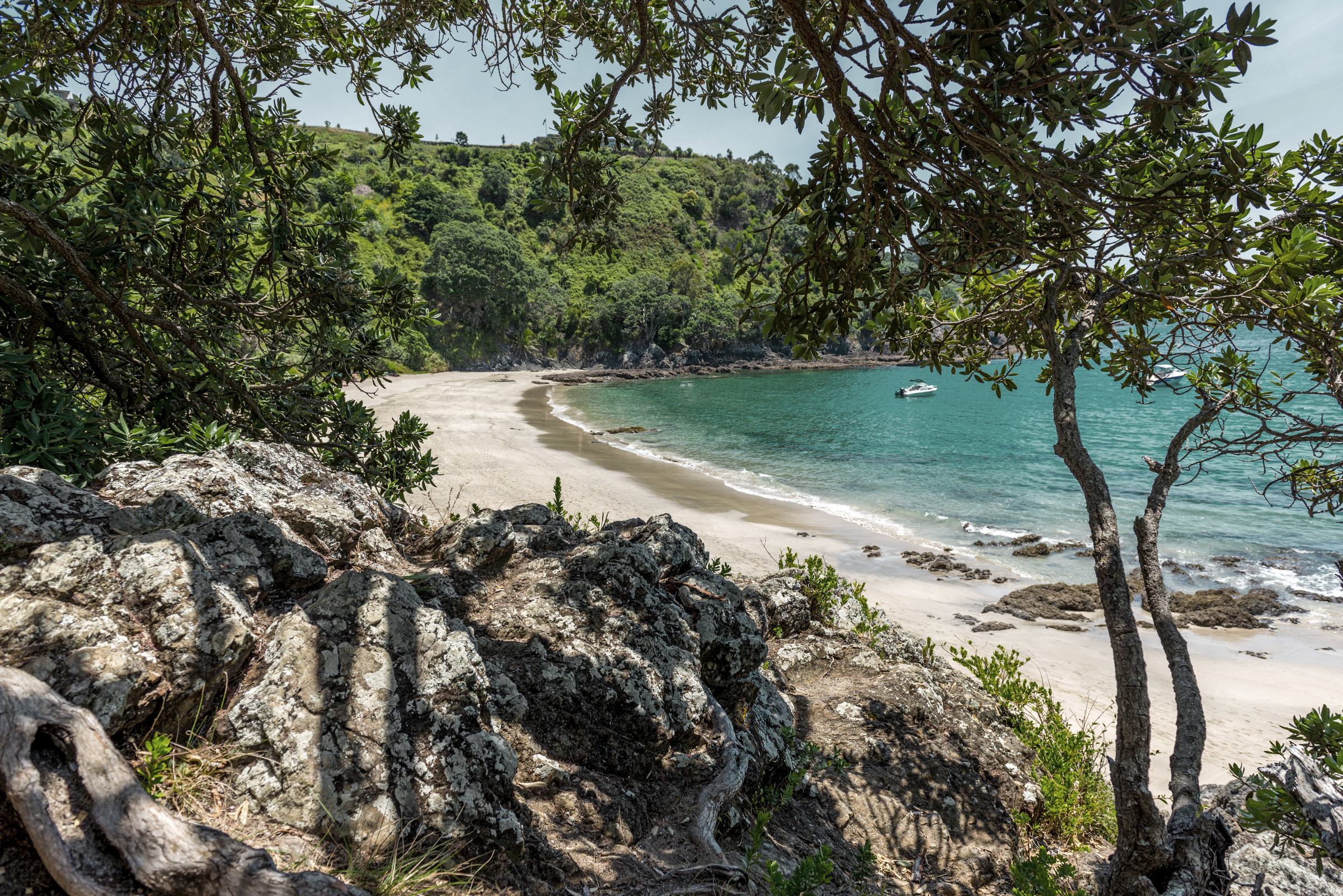 Palm Beach bei Waiheke Island