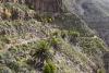Wanderparadies La Gomera