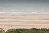 Omaha Beach 