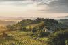 Die edle Weinregion der Toskana 